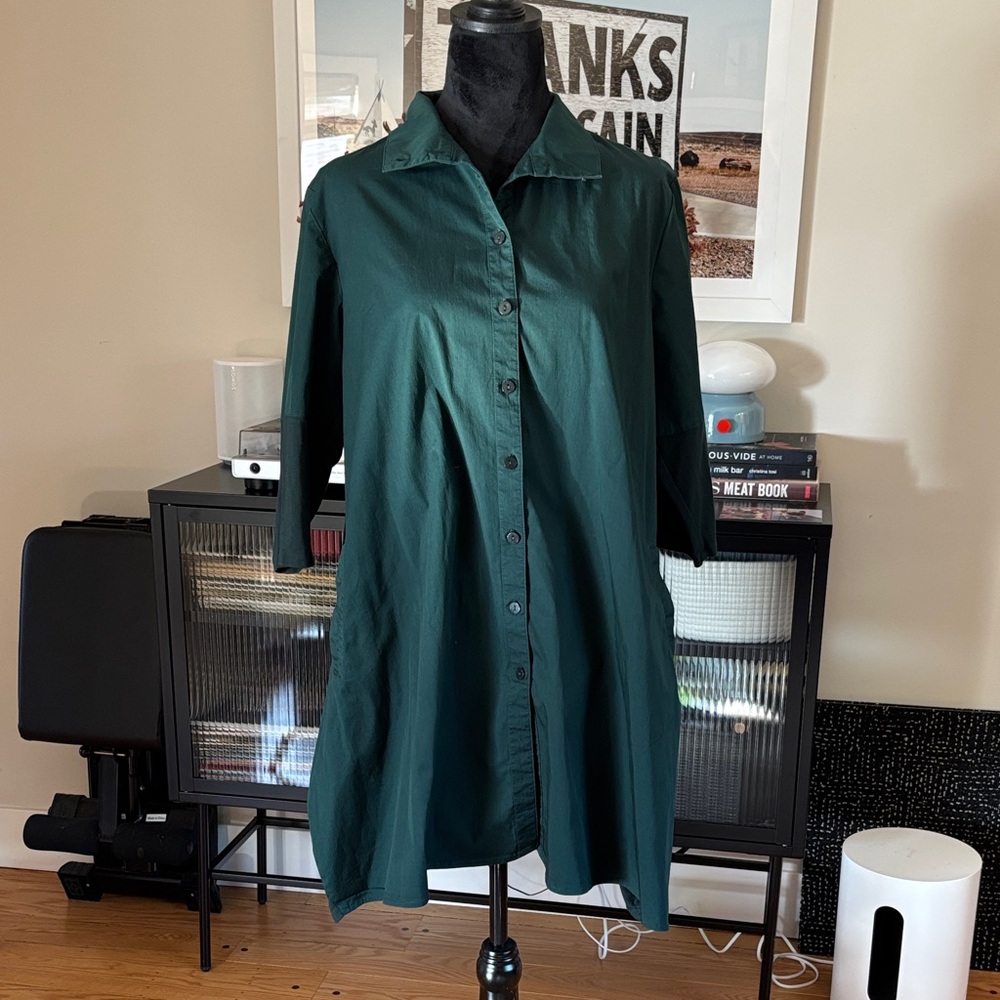 Stella Carakasi tiburon Forest Green Tunic dress